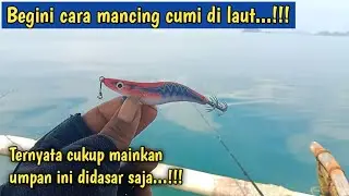Cara mancing cumi di laut !!! Cukup Mainkan Egi Didasar Saja, Sudah Bisa Strike Cumi-cumi...!!!