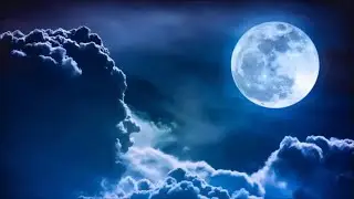 Beautiful Relaxing Music for Deep SLEEP 😴