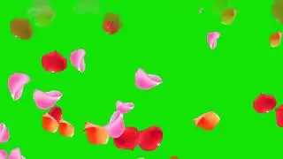 Download Flower Green Screen Chroma Effect||Free Download||Video Design With Rain Flower| VFX style|