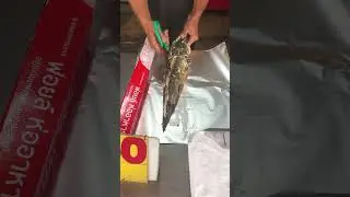 Grilled snakehead fish with salt #fish #travel #youtubeshorts #shorts #viralvideo #bbqfish
