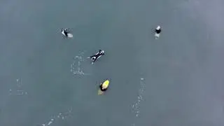 Kill Devil Hills - A Surf Movie (Directors Cut)