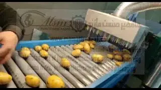 #سورتینگ-سیب-زمینی , #پرتقال،Potato sorting, orange sorting, date , vegetable dryer, date dryer