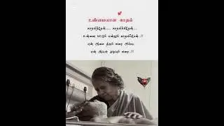 #love😍😍| #happy😘😘  |#truewords |#lifeline | #short story | #WhatsAppstatus | tamil 🤔