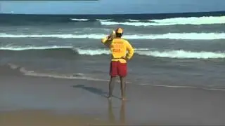Very Foreign Correspondent - Beach - Balls of Steel