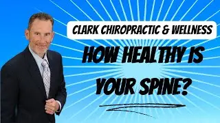 How To Have A Healthy Spine!
