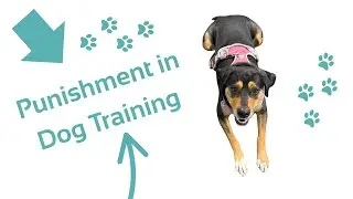 The meaning of punishment in dog training