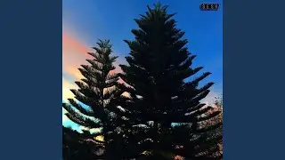 Andelon (feat. Rozz Dyliams)