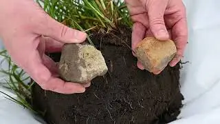 B3W - Zelf je bodem testen doe je zo!