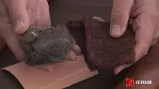 Garden Tool Cleaning