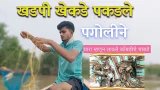 कोंबडीचे चांबडे लावून पकडले खडपी खेकडे 🦀 treditional crab hunting #mudcrab #like #share #subscribe 