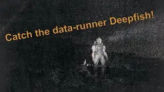 Catch the data-runner Deepfish!