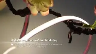Rishang White COB LED Strips | Hidden light-colored areas [RM0812EC-J-L-W1] | Products Display