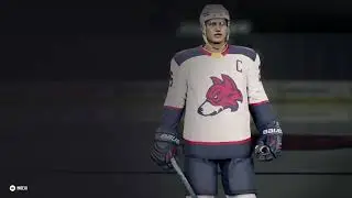 New Custom Franchise | NHL 26