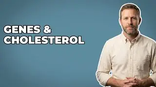 How Do Genes Affect Cholesterol Levels?
