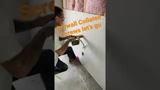 Drywall Collated Screws
