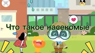 Что такое насекомые