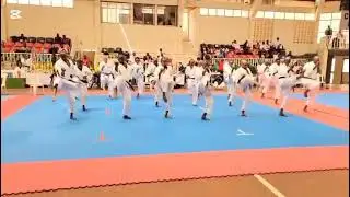 JKA 2025 Veterans Kata Demo