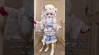 Cuando los cachorros humanos se ponen un tocado de animal, alerta de sobrecarga de ternura #furry