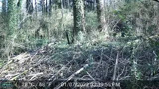 Trail camera test Garde Pro A3