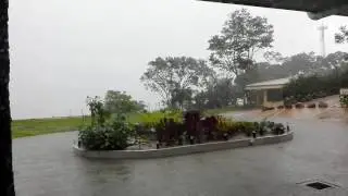 Grifo Alto Storm - video 1