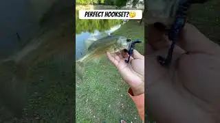 PERFECT HOOKSET!  #fishing #bassfishing #carpfishing #catfish #bigbassenergy #bigfishenergy  #fish