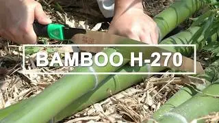 Bamboo Harvesting with Japanese saw Bamboo H-270