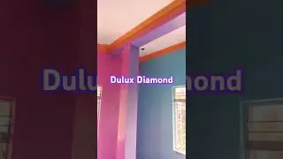 Dulux paints Velvet Touch Diamond Glo Finish / Dil Hua Deewana #trending #shorts #shortsfeed #colors