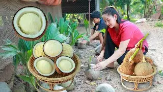 Sprout coconut in my village is so juicy to eat | My village food  | Do you like sprout coconut
