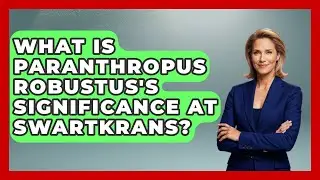 What Is Paranthropus Robustus's Significance At Swartkrans? - Archaeology Quest
