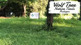 Hiking: Wolf Tree Nature Trails (Michigan - July 2021)