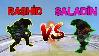 Rashid vs Saladin - WolfTeam