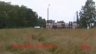 Reaction and brake test