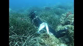 UNE P&Ecirc;CHE 