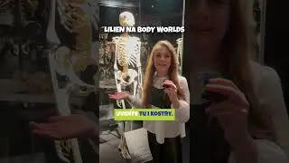 LilieN na #bodyworlds #materidouska #humor #forkids #prodeti #humor #novinky #kids #funny