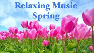 🌺Relaxing Music Spring Garden | Relaxing Music, Sleep, Piano, Romantic | 3 hours | Spring Music