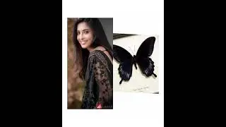 asha gowda(gokulathil seethai serial heroine) vs butterfly