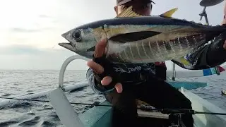 PANEN YELOWPIN TUNA ‼️SEPERTI MANCING DI KOLAM... #fishing  #daidofishingteam #vlog #hiburan