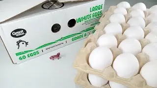 Unboxin Doxin - Great Value 60 Large White Eggs