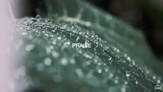 60 Second Prayers and Songs // Psalm 139 & Doxology