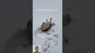Funny Animal Fails | Reaction Funny Animal Fails | #shorts
