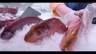 Le Rayon Poissonnerie