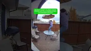 Пссс&hellip; кто ещё верит в луковую шелуху от диабета? Пора развеять мифы! 💚DiaMarka.com