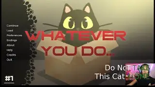 Pretty Clear Instructions, What Could Possibly Go Wrong? - Scoshia Plays - Do Not Take This Cat Home