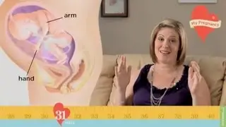 My Pregnancy - Week 31