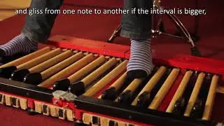 NORD C1 & how to grow fingers on your feet