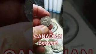 CANADIAN Beaver 1985 Nickel Coin Roll Hunting a Box of US Nickels! #short