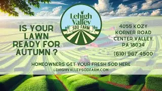 🌿 Holistic Healing Practice In Oak Brook: Unlock Your Inner Peace 🌟🧘