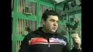 Sampioni Srbije: Zoran Tesic Tesa (prvi deo)
