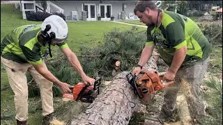 Echo cs-590 vs cs-4510, Cutting wood & feeling trees