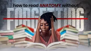 HOW TO READ ANATOMY WITHOUT FORGETTING FROM MY EXPERIENCE AS AN ANATOMY STUDENT 